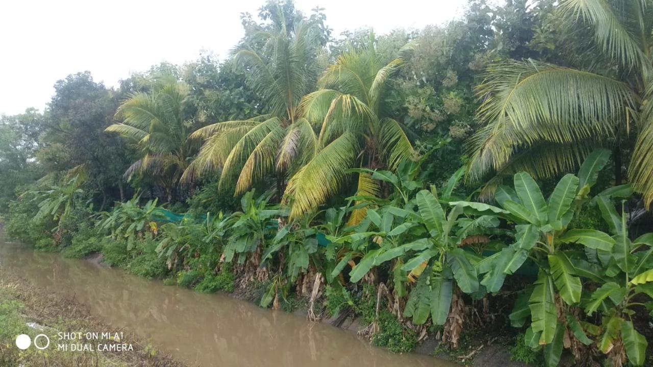 Om Shanti Om Homestay 亨比 外观 照片