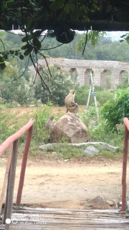 Om Shanti Om Homestay 亨比 外观 照片